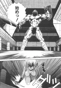 [Makoto Fujisaki] Dark Wirbel Vol 2