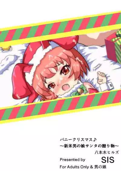 バニークリスマス♪ ～新米男の娘サンタの贈り物～