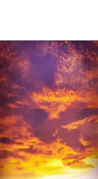 [Studio Gale] Lady Garden Ch.1-36 (English) (Ongoing)