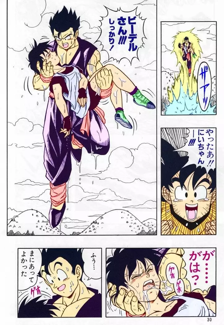 DRAGONBALL H Bessatsu Soushuuhen