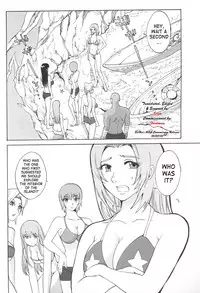 (C65) [Pururun Estate (Kamitsuki Manmaru)] LUCKY STRIKE!! (Dead or Alive) [English] [SaHa]