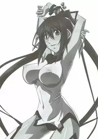 (Tora Matsuri 2015) [STUDIO TRIUMPH (Mutou Keiji)] Astral Bout SP02 (IS <Infinite Stratos>)