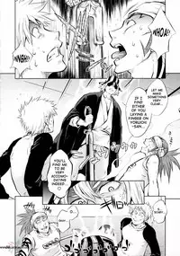 (C70) [Todd Special (Todd Oyamada)] Yukemuri NyanNyan Jiken (Bleach) [English] [SaHa]