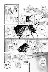 [Sakurakan (Seriou Sakura)] Neko Moe (Inuyasha) [English] [EHCove]