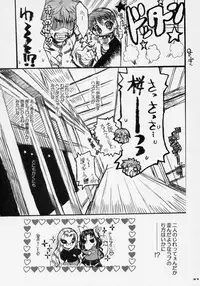 (C69) [Neko-bus Tei (Shaa)] Sakura Biyori (Fate/stay night)