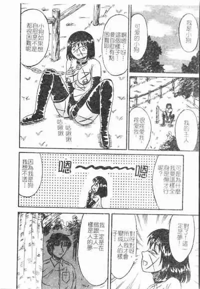 Fallen love at night