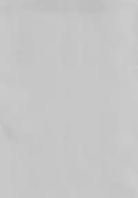 [NERCO (Koikawa Minoru)] Hatsujou Usagi to Asa made Okusuri Koubi (Touhou Project) [Digital]