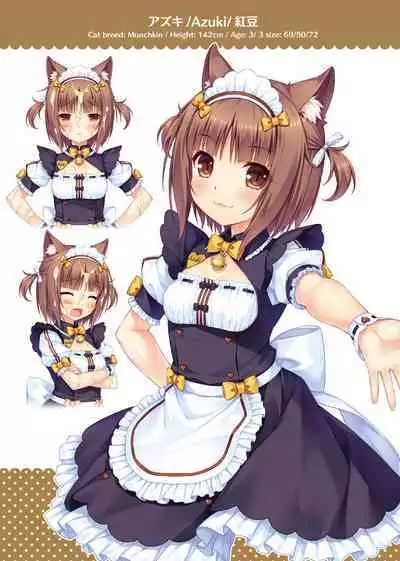 NEKOPARA ART WORKS Vol.2