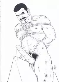 [Gengoroh Tagame][田龟源五郎] Shirogane-no-Hana The Silver Flower vol.2[银之华] [Chinese]