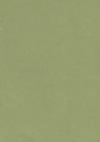 (C65) [Takotsubo Club (Gojou Shino)] DANGER ZONE DOA-XXX 01 (Dead or Alive Xtreme Beach Volleyball)