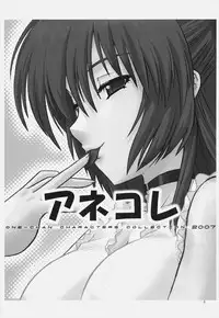 (C72) [CAZA MAYOR (Tsutsumi Akari)] AneColle - One-chan Characters Collection 2007 (Various)