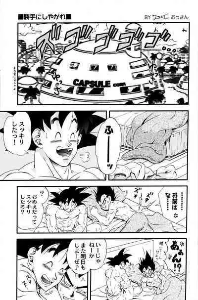 Dragonball Fan Book SPECIAL