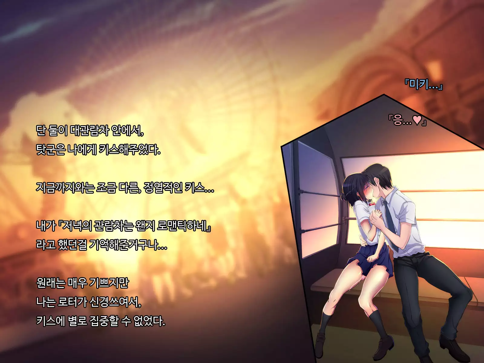 ani sex > otouto sex