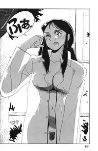 Ginrei Special GR-H (Giant Robo)