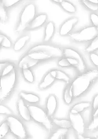 [Nyagos (Yatengetu)] Hokenshitsu de Apprivoiser (STAR DRIVER) [Digital]