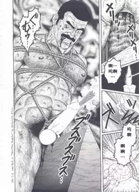 [Gengoroh Tagame][田龟源五郎] Shirogane-no-Hana The Silver Flower vol.2[银之华] [Chinese]