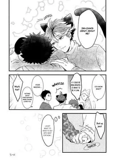 (C93) [Rototika (Kamishi Yue)] Iwa-chan no Neko ni Naritai 2 (Haikyuu!!) [English]