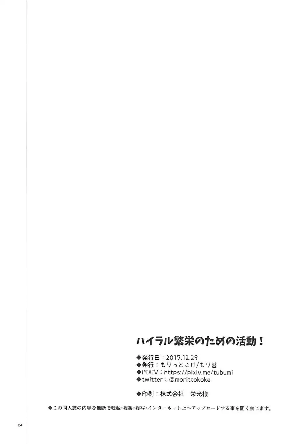 Hyrule Hanei no Tame no Katsudou! | Activities for the Sake of Hyrule’s Future!