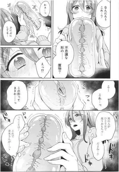 Wakeari Kanojo no Seijijou