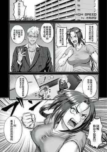 HIGH BREED~無敗女王と最強男~