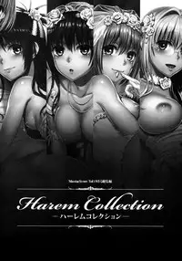 (C86) [Maniac Street (Oono, Sugaishi)] Harem Collection (To LOVE-Ru) [English] [Decensored]