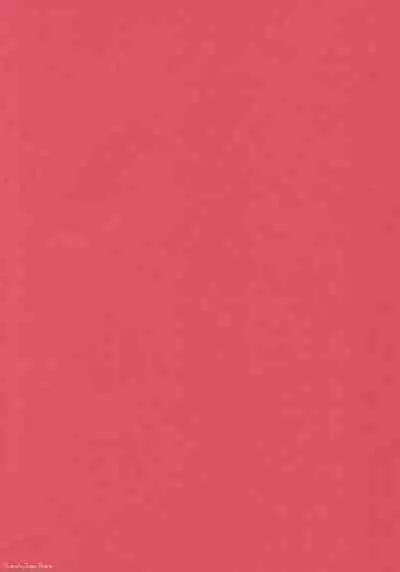 Nishizumi Maho no Suimin Kansatsu | Record of Nishizumi Maho’s Sleep Violation