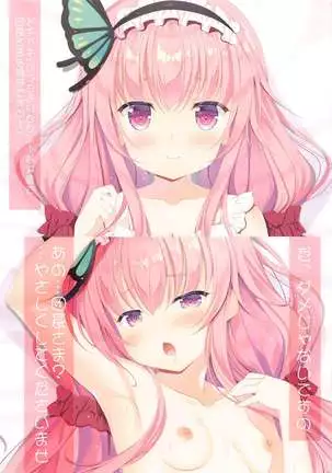 Colorful Flower Assort