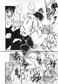 Colorful Bee 1999-10