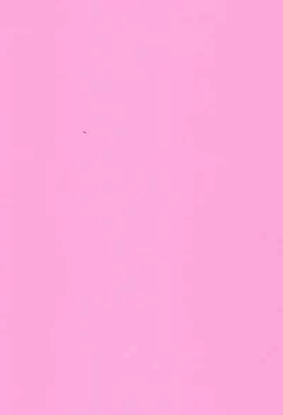 Joji Ya-san to Mori Aganzo