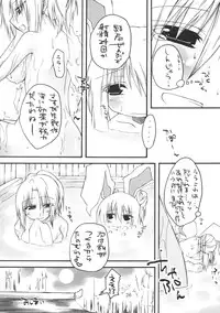 (C72) [Amadeus no Isan (Fujihara Shu, Aoba Shou)] Chichi Usagi e no Shohousen (Touhou Project)