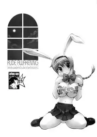 [Eric☆Peterson (Arao Masaki)] RUDE AWAKENING (Dead or Alive) [2nd Edition 2010-12]