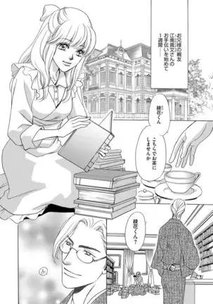 Imouto Mekake ~Onii-sama, Mou Yurushite~ <2>