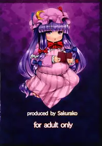 (C81) [Sakurako (ZION)] Patchouli wo Munimuni Suru Hon (Touhou Project) [English] {desudesu}