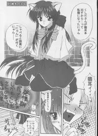 [ASYURAYA (Kushida Ashura)] Neko Neko Hot (Kanon)