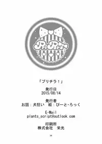 (C88) [Getsuyoubi no Burenda (Peat Lock)] PriChira (PriPara)