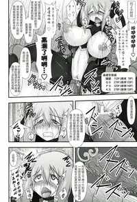 Shield Knight Elsain Vol.11 "NETHER LABORATORY"