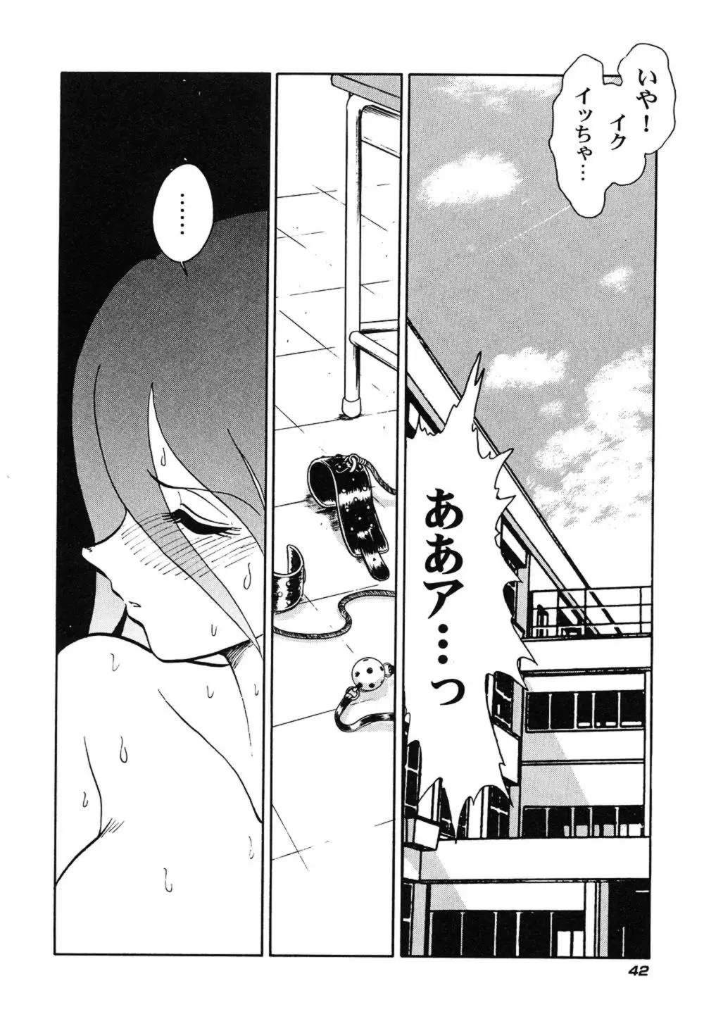 Hageshii Kagai Jugyou