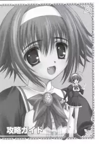 Otome wa boku ni koi shiteru Visual Fanbook (Otoboku)