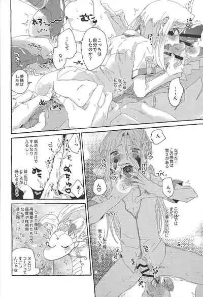 OVER THE REINCARNATION