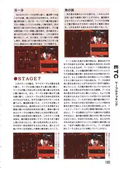 PC Bishoujo Software Strategy Book: Strategy King 2