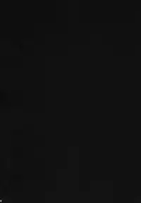 (COMIC1) [VENOM (Alto Seneka, Rusty Soul)] Kouhime Kyouhime (Code Geass)