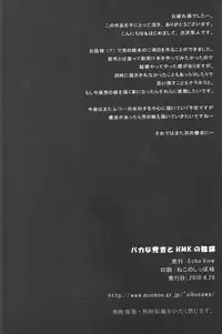 (COMIC1☆4) [Echo View (Shibusawa Hayato)] Baka na Hideyoshi to HMK no Inbou (Baka to Test to Shoukanjuu)