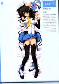 Dakimakura Cover Gashuu Bishoujo Game Hen