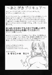 (CSP6) [Shin Hijiridou Honpo (Hijiri Tsukasa)] Kirara-chan no Manager ni Natta. (Go! Princess PreCure)