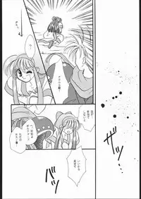 (CR17) [Dotou no M Kikaku (Various)] RANBU (Samurai Spirits)