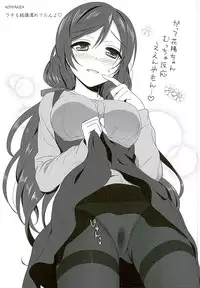 (C89) [39xream (Mikuta)] Hanayo no Omocha (Love Live!)