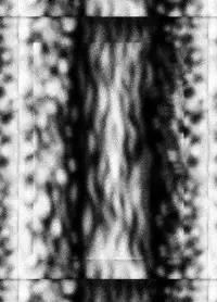 (SC53) [Bronco Hitoritabi] Kunoichi Ninpouchou (Senran Kagura) [Digital]