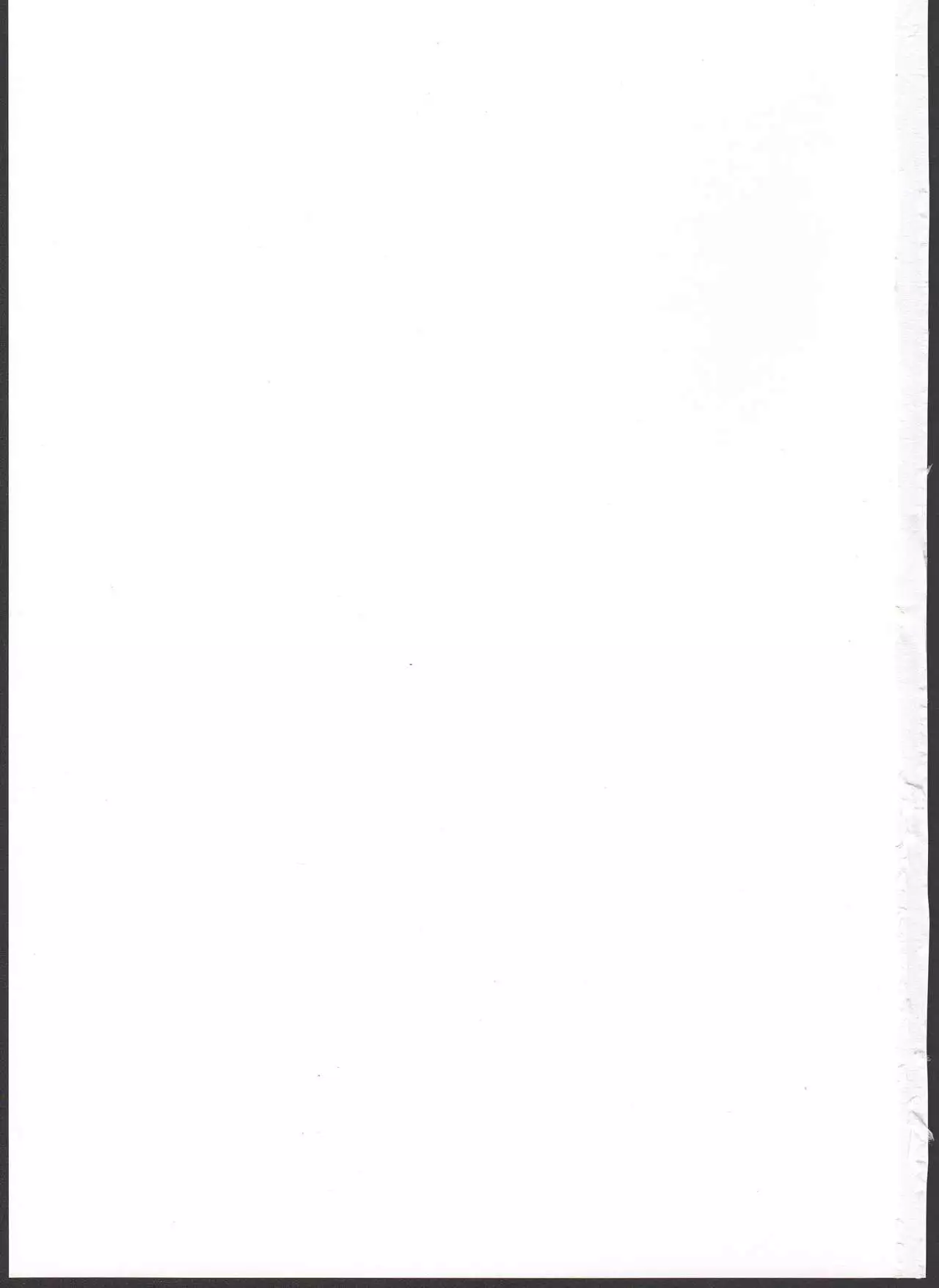 Witch Bitch Collection Vol.2