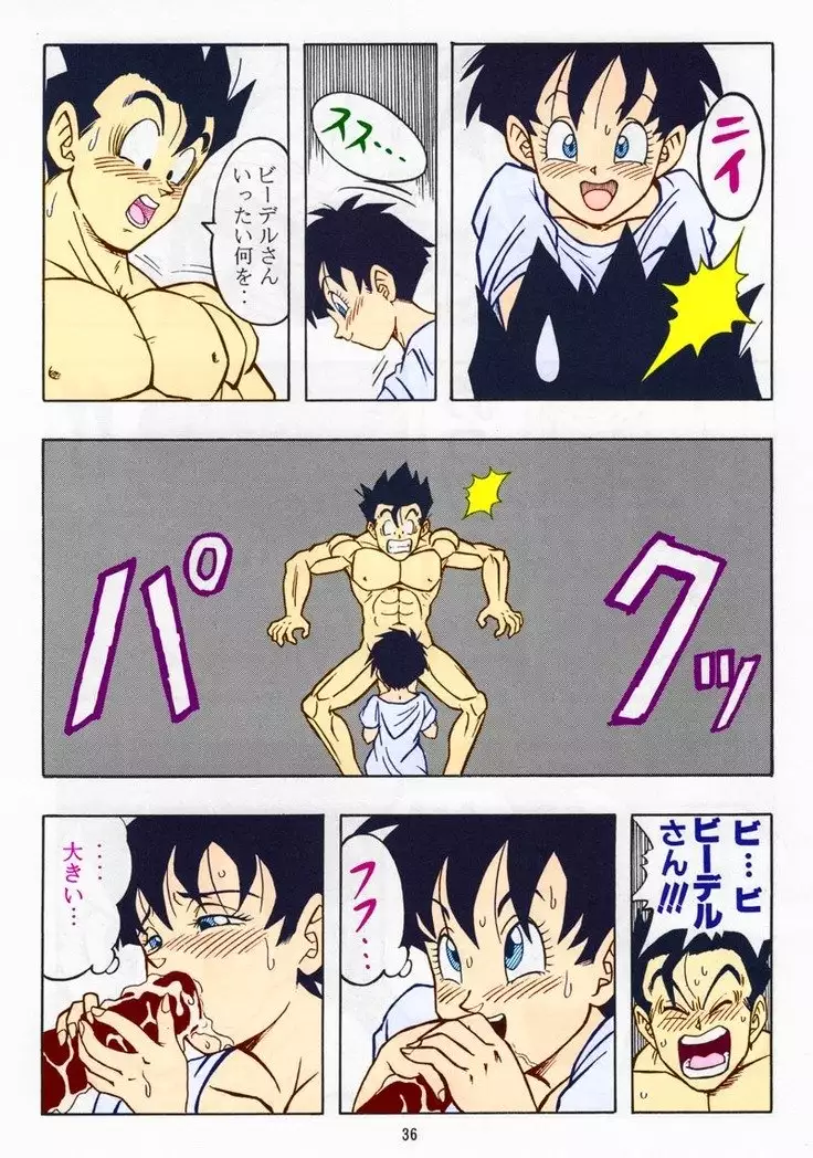 DRAGONBALL H Bessatsu Soushuuhen