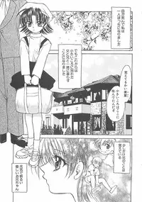 [Shizaki Masayuki] Abyssinian